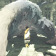 And the award for most realist cat-bird-creature anus goes to . . .